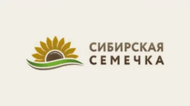 Сибирская семечка